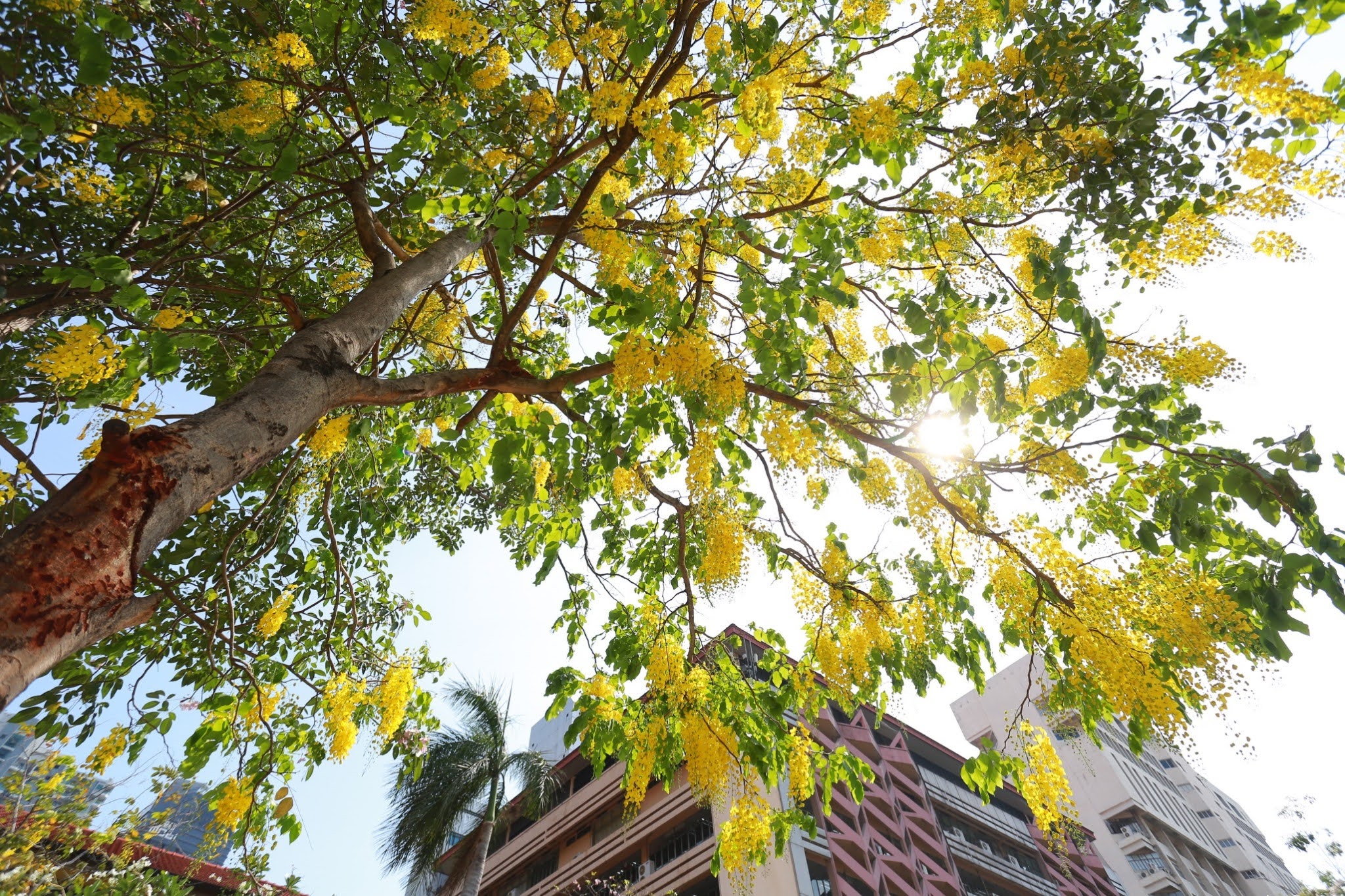 542562 BE_๑๙๐๔๑๑_0013.jpg