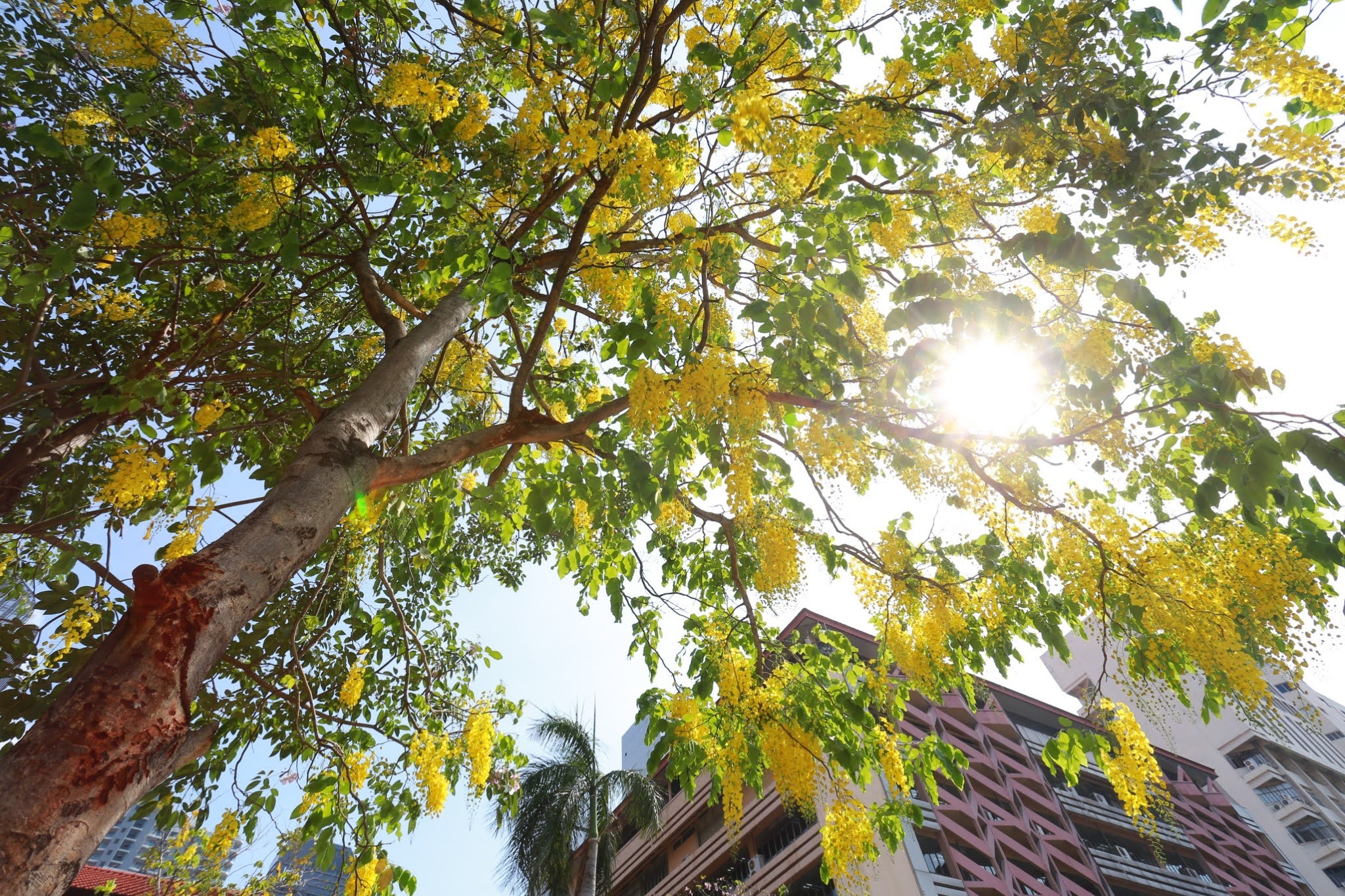 542562 BE_๑๙๐๔๑๑_0015.jpg