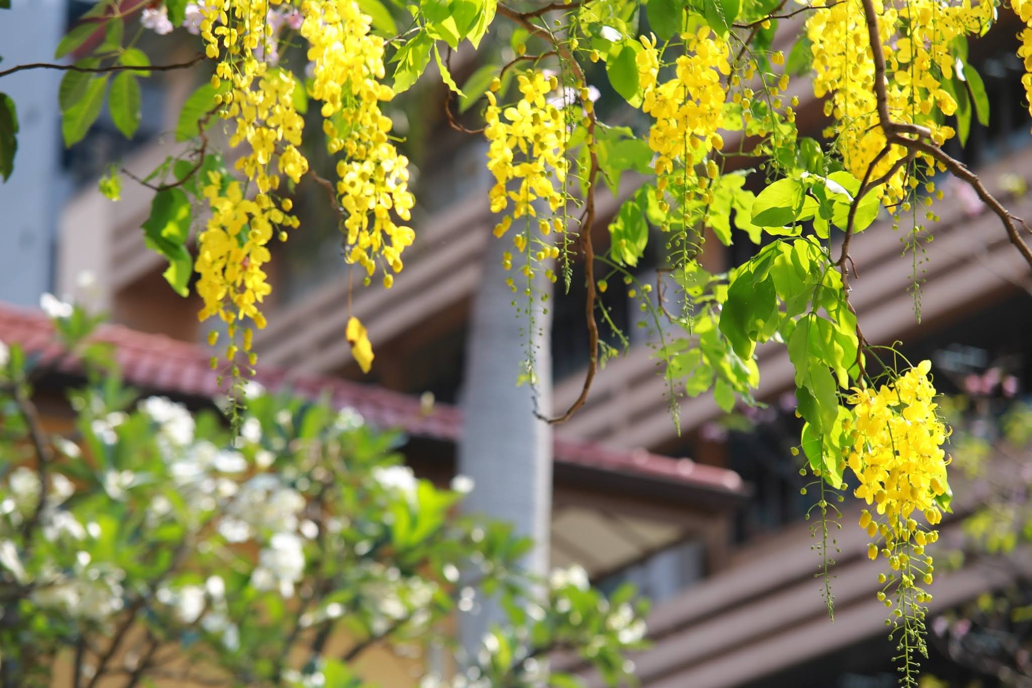 542562 BE_๑๙๐๔๑๑_0018.jpg