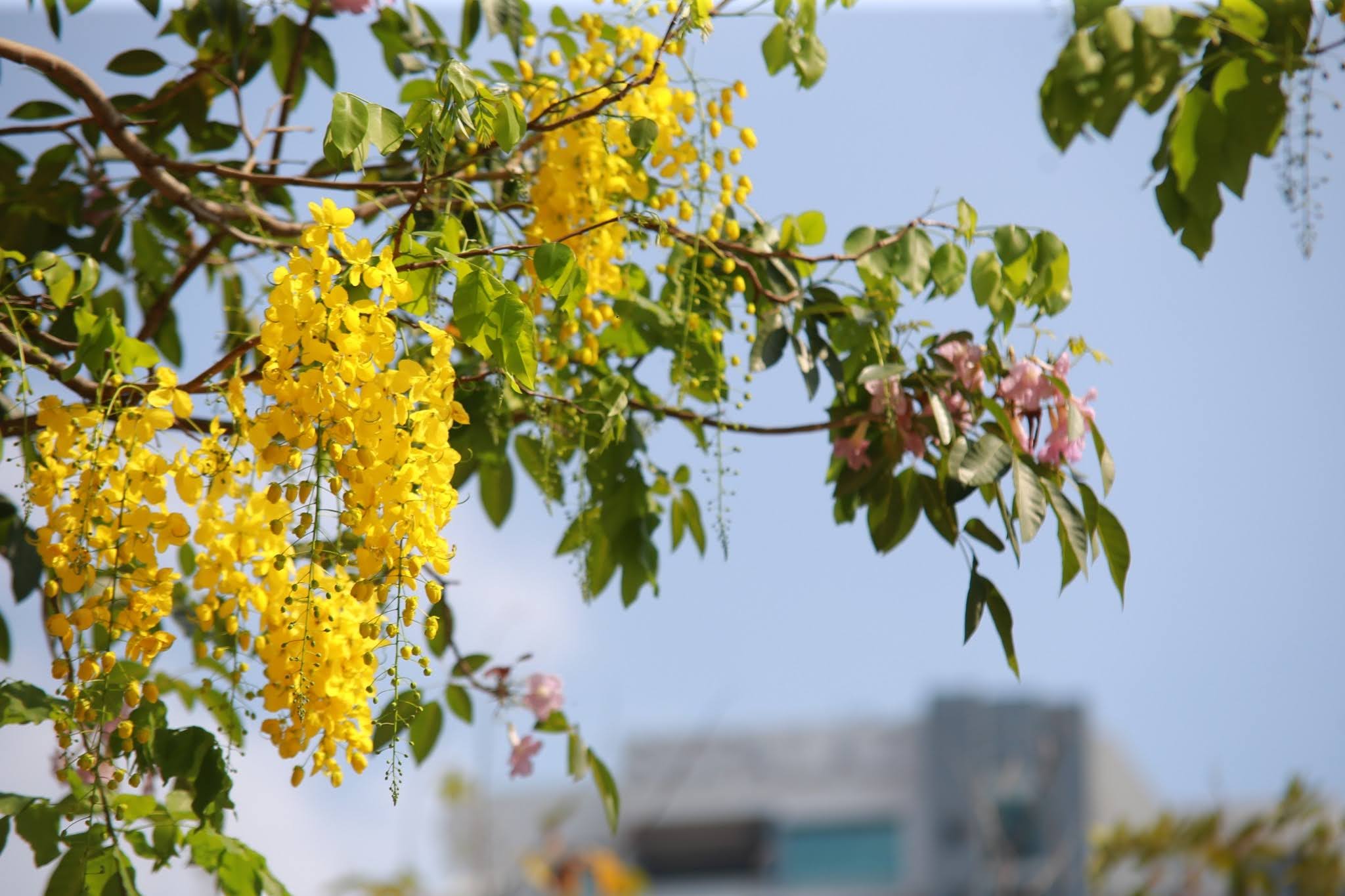 542562 BE_๑๙๐๔๑๑_0019.jpg