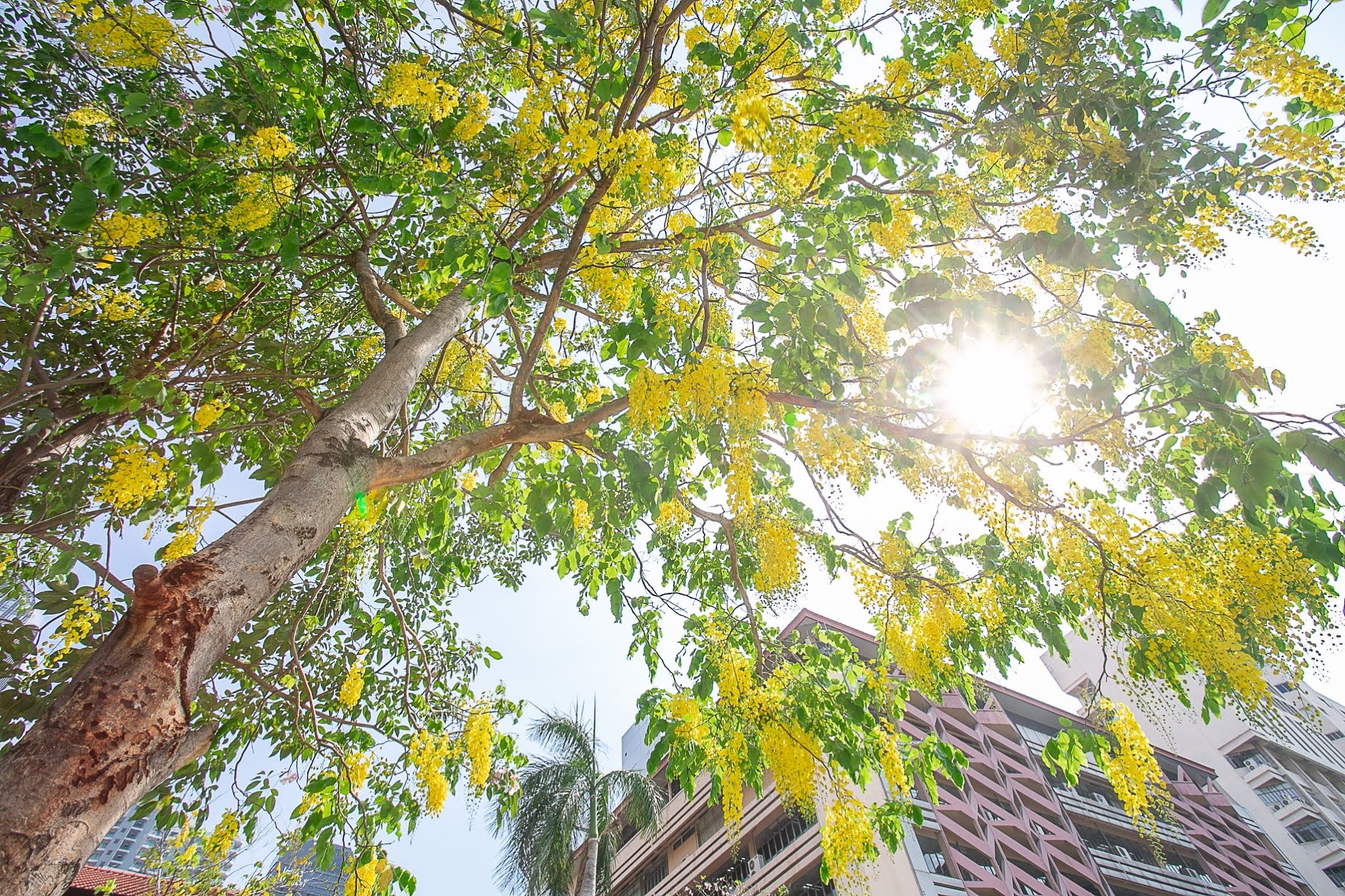 542562 BE_๑๙๐๔๑๑_0026.jpg