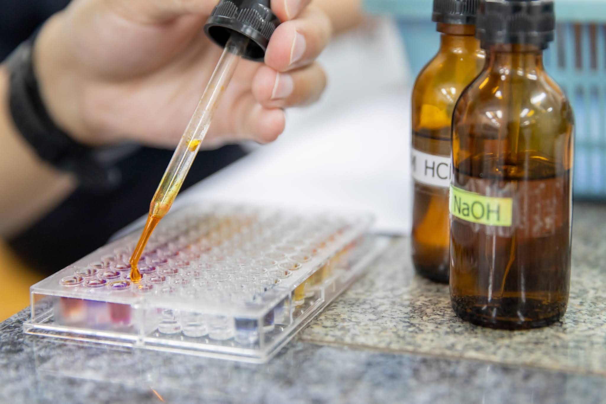 LINE_ALBUM_2023.9.12 _1_230912_2.jpg