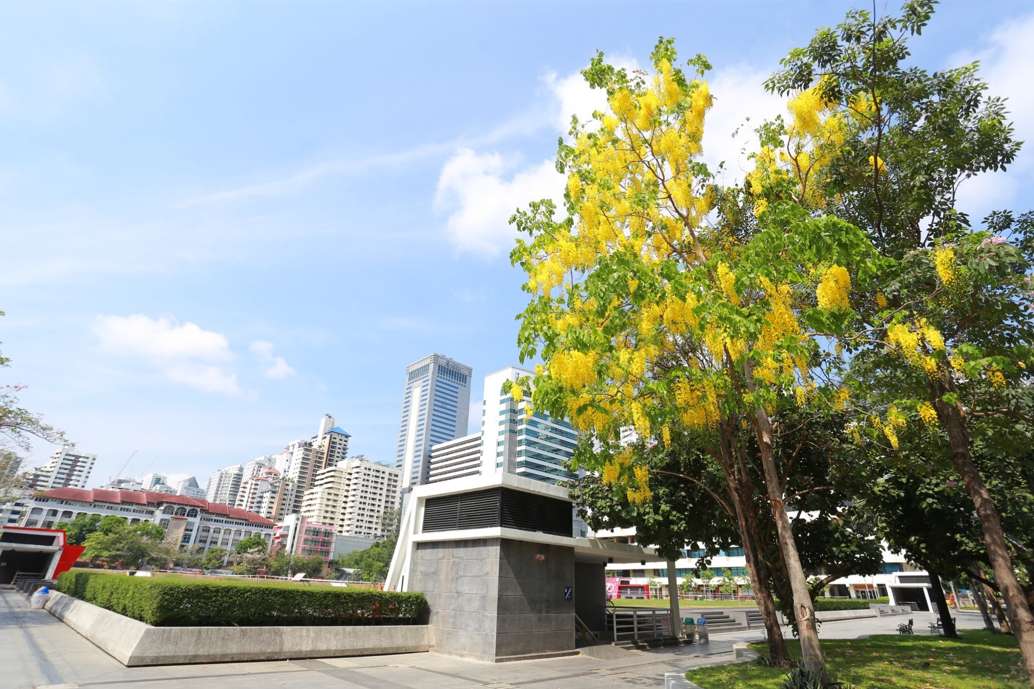 542562 BE_๑๙๐๔๑๑_0012.jpg