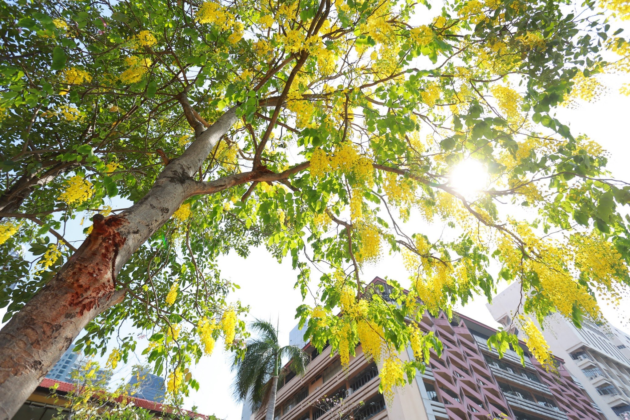 542562 BE_๑๙๐๔๑๑_0014.jpg