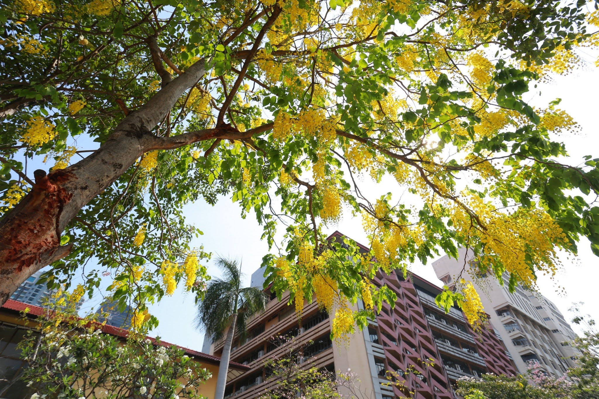 542562 BE_๑๙๐๔๑๑_0016.jpg