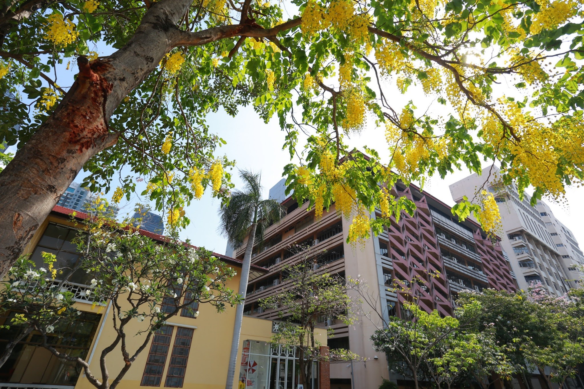 542562 BE_๑๙๐๔๑๑_0017.jpg