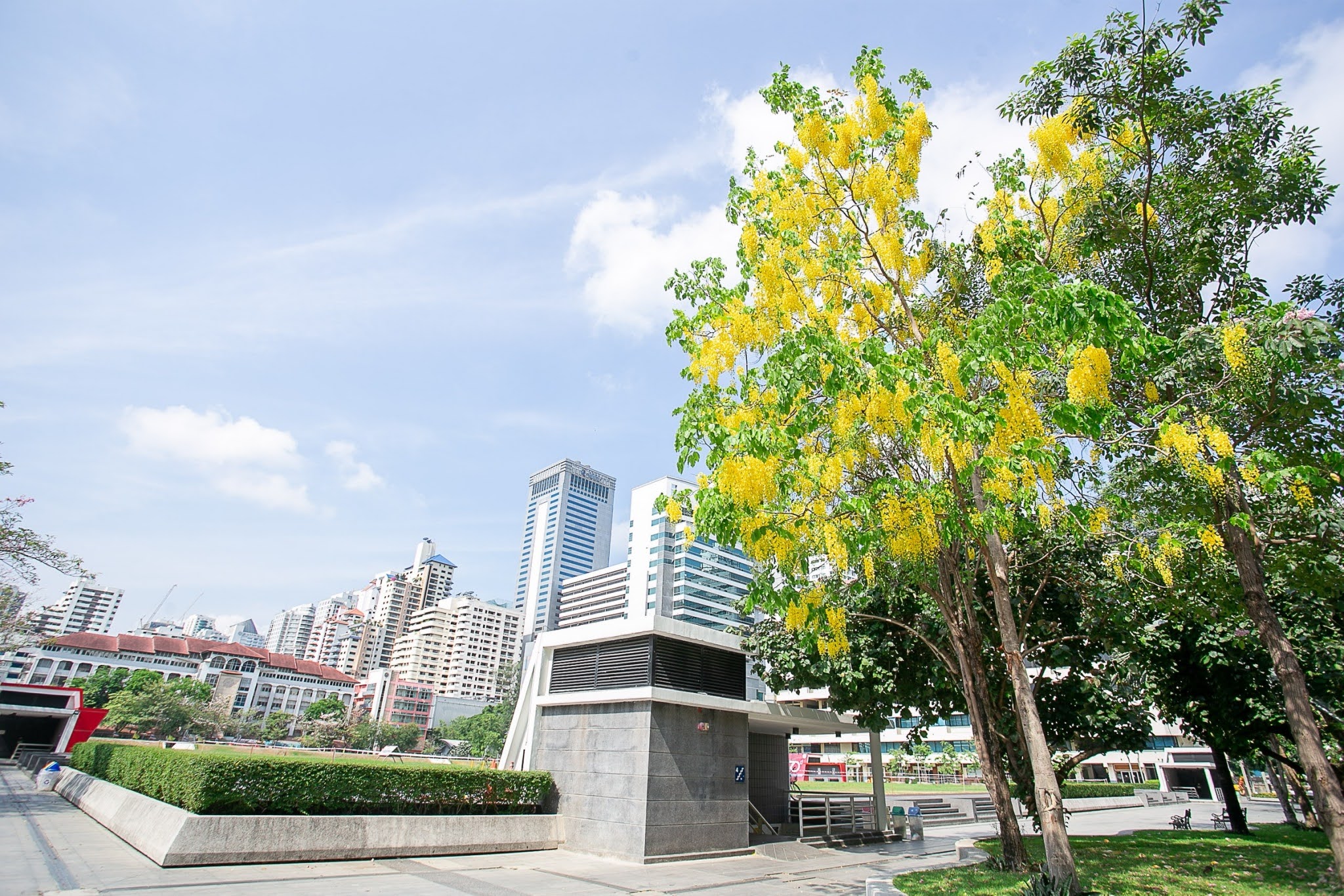 542562 BE_๑๙๐๔๑๑_0025.jpg