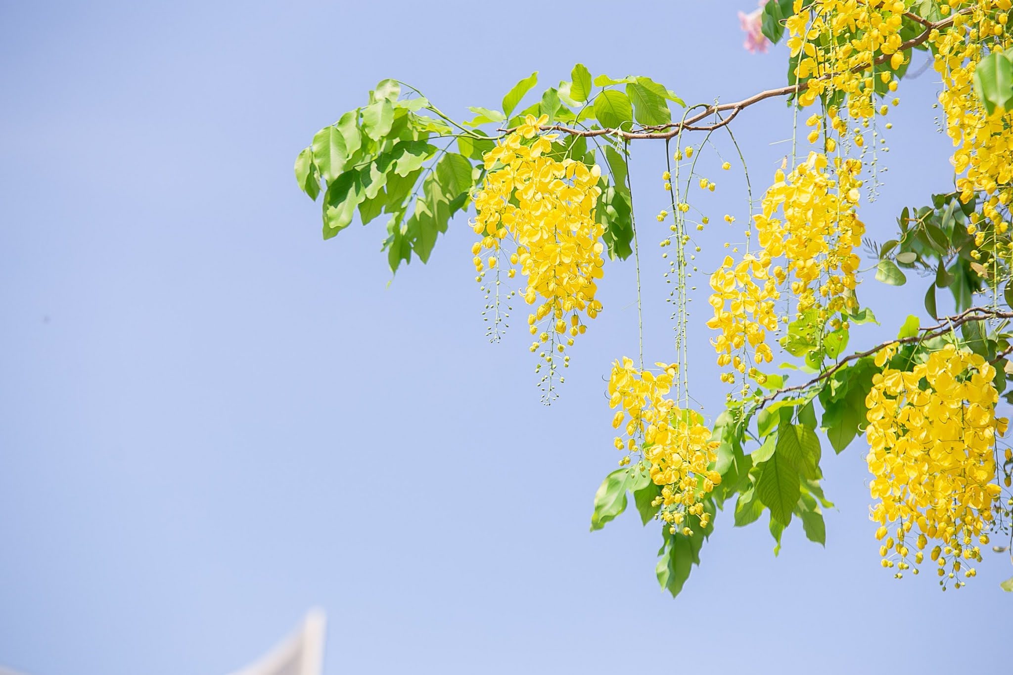 542562 BE_๑๙๐๔๑๑_0027.jpg